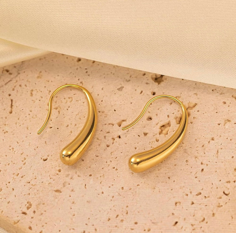 Hook Earrings