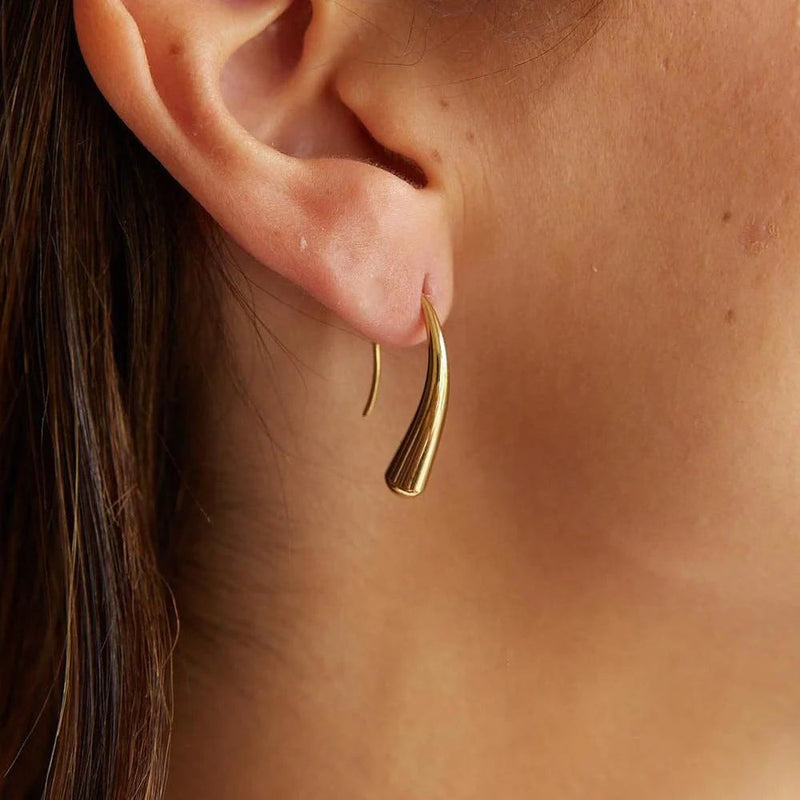 Hook Earrings